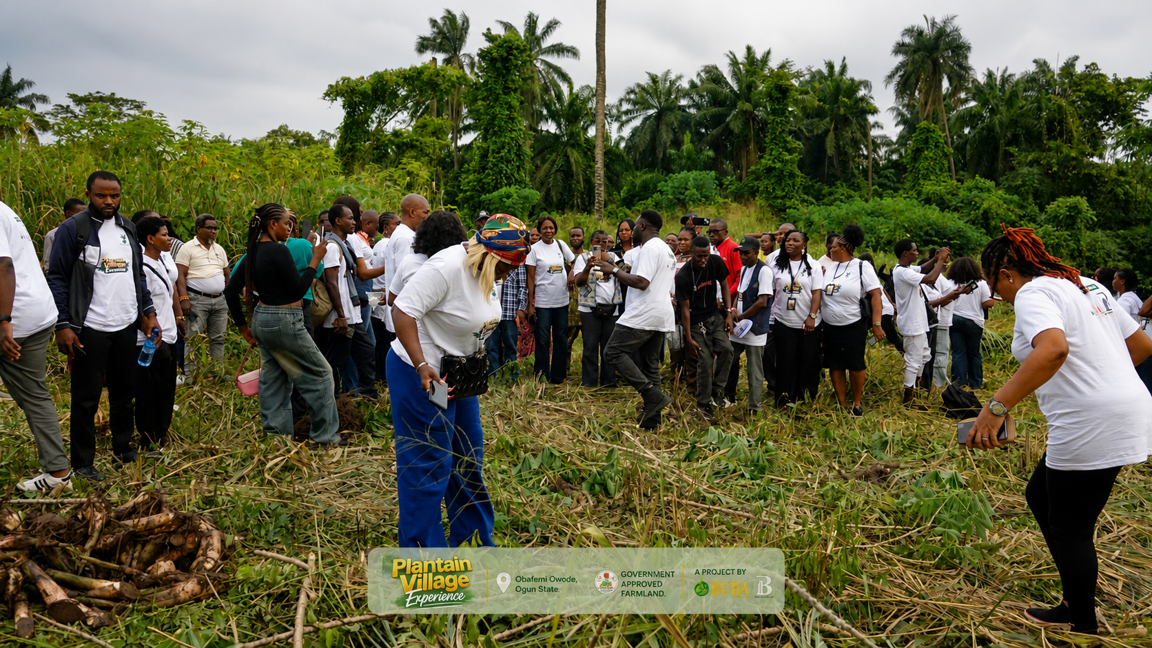 Plantain Tour Image